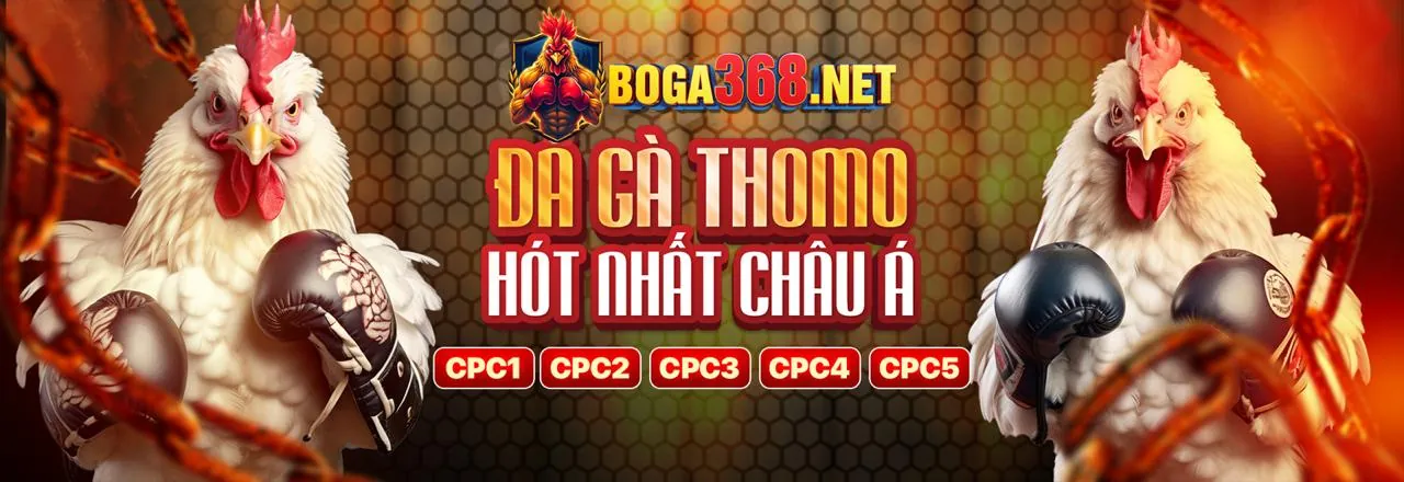 Cá Cược Thể Thao Vin77722 Link Mới 2026